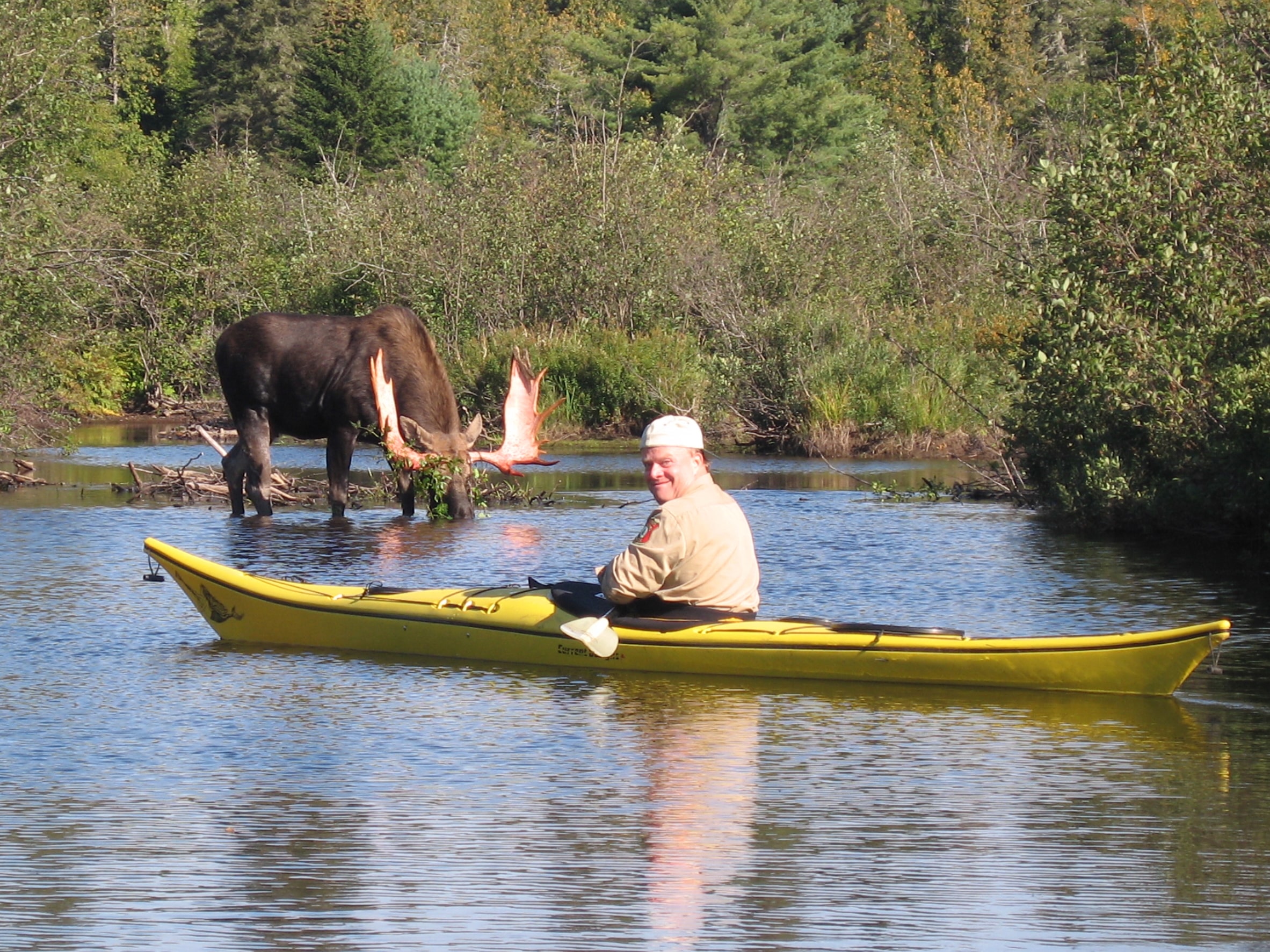 nahmakanta maine canoeing and moose